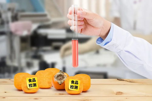 史上最嚴《四川省中小學(xué)校食品安全管理辦法》正式實施，守護學(xué)生餐飲服務(wù)安全